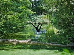 149 BIO PARC DE DOUE LA FONTAINE 5- 2016_000026